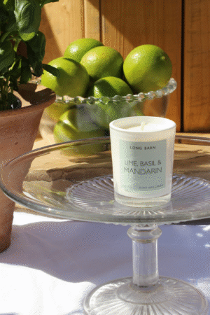 Lime, Basil & Mandarin Votive Candle